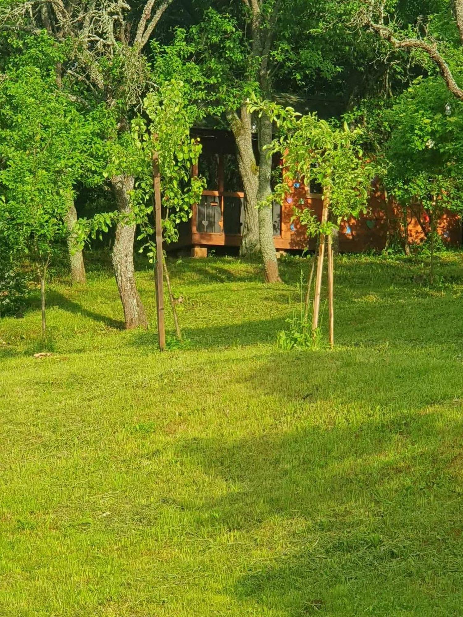 Apartments Sarika Dlhá Ves Εξωτερικό φωτογραφία