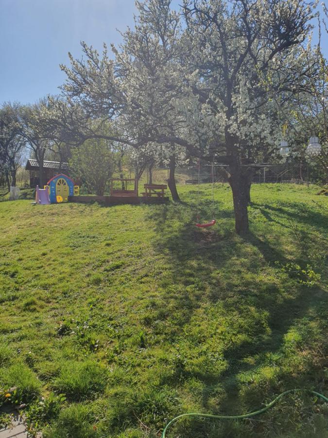 Apartments Sarika Dlhá Ves Εξωτερικό φωτογραφία